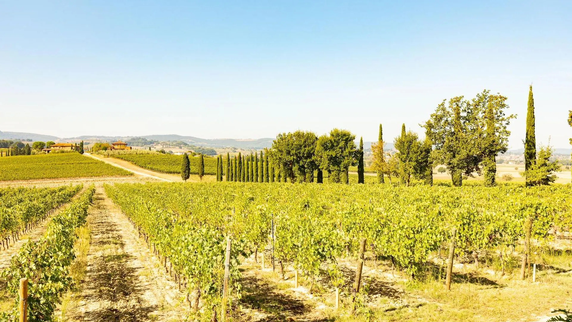 Appartamento Aleatico Montepulciano Italy