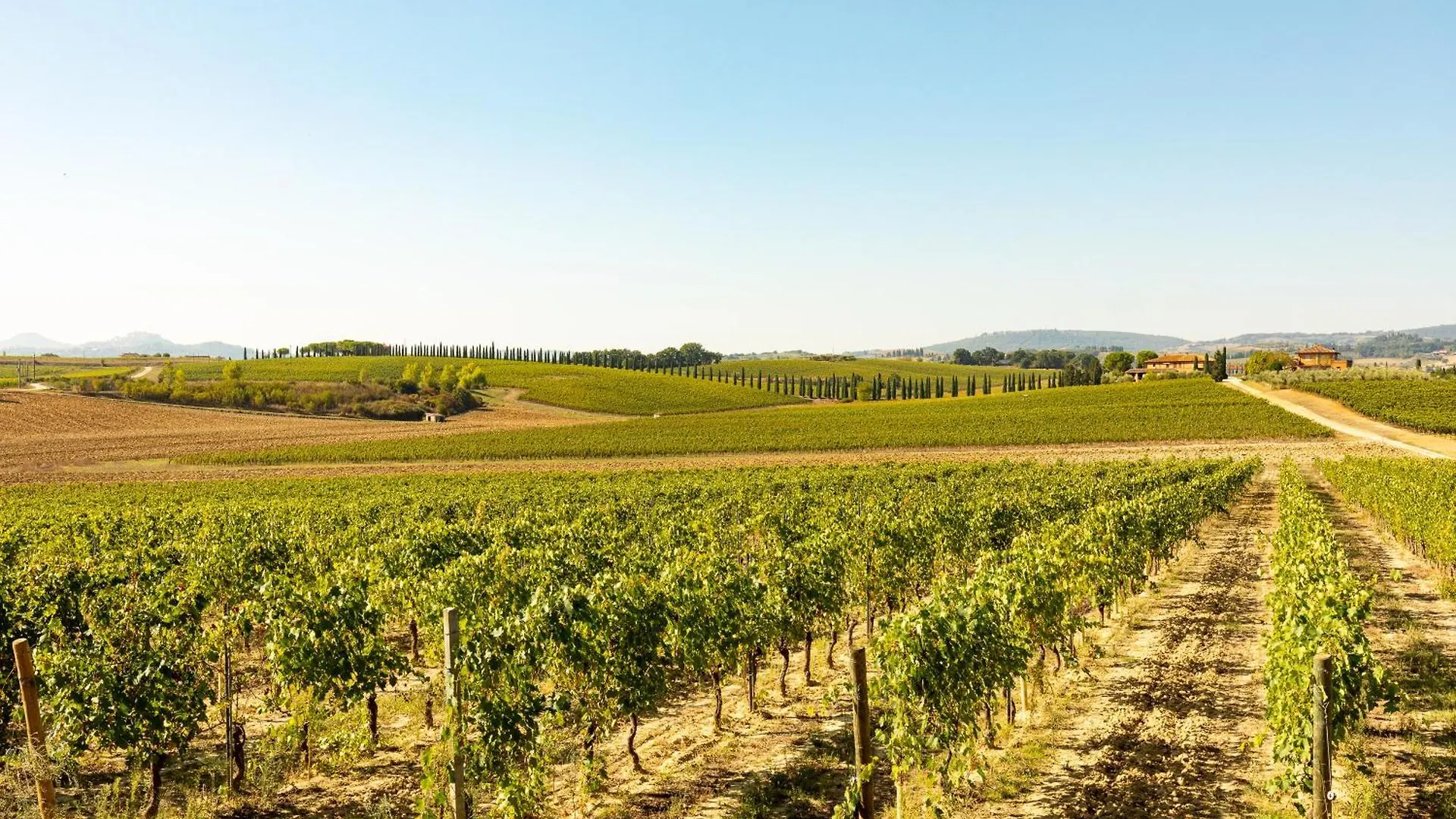 Appartamento Aleatico Montepulciano 0*,  Italy